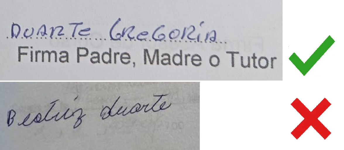 En este momento estás viendo Falsificaron firma de la mburuvicha de El Doradito para desmontar su territorio