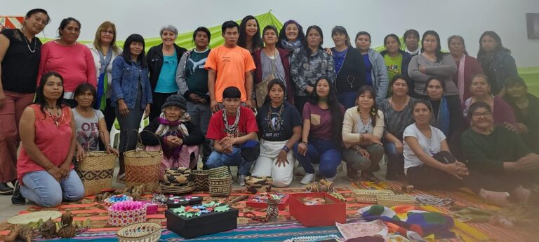 Lee más sobre el artículo Más de 30 mujeres indígenas del NEA se reunieron para discutir sobre territorios