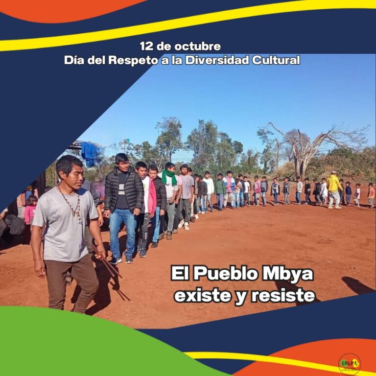 Lee más sobre el artículo Día del Respeto a la Diversidad Cultural: El Pueblo Mbya existe y resiste