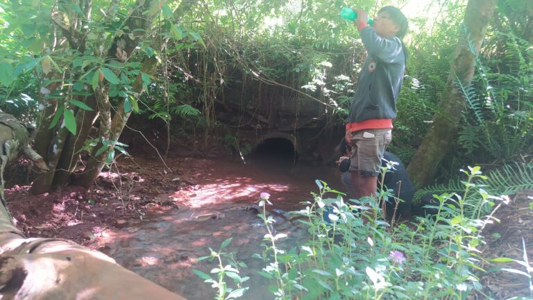 Lee más sobre el artículo Insólito condicionamiento a una Comunidad Mbya: “si quieren agua potable tienen que irse”.