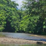 Lee más sobre el artículo Pueblos Indígenas, guardianes ancestrales del ambiente