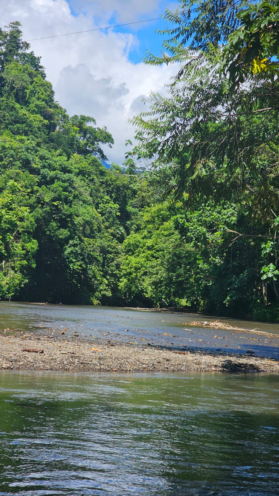 En este momento estás viendo Pueblos Indígenas, guardianes ancestrales del ambiente