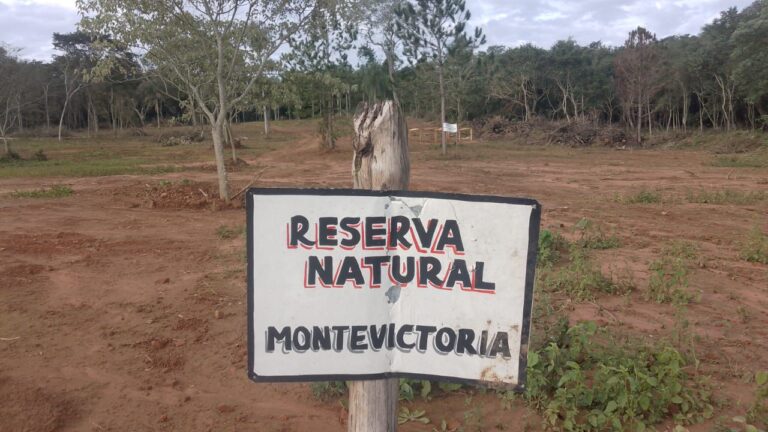 Lee más sobre el artículo Monte Victoria, una reserva privada sobre territorio Mbya