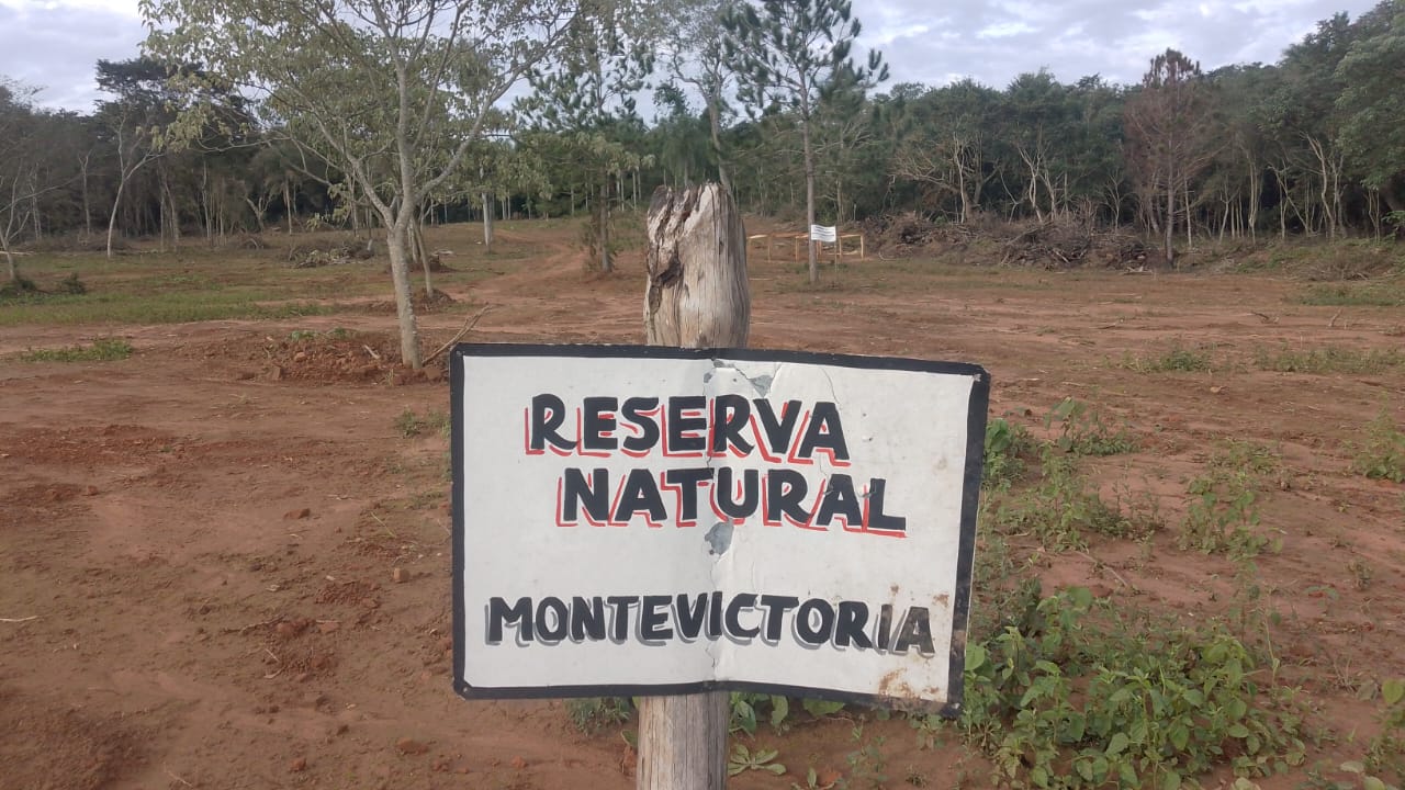 En este momento estás viendo Monte Victoria, una reserva privada sobre territorio Mbya