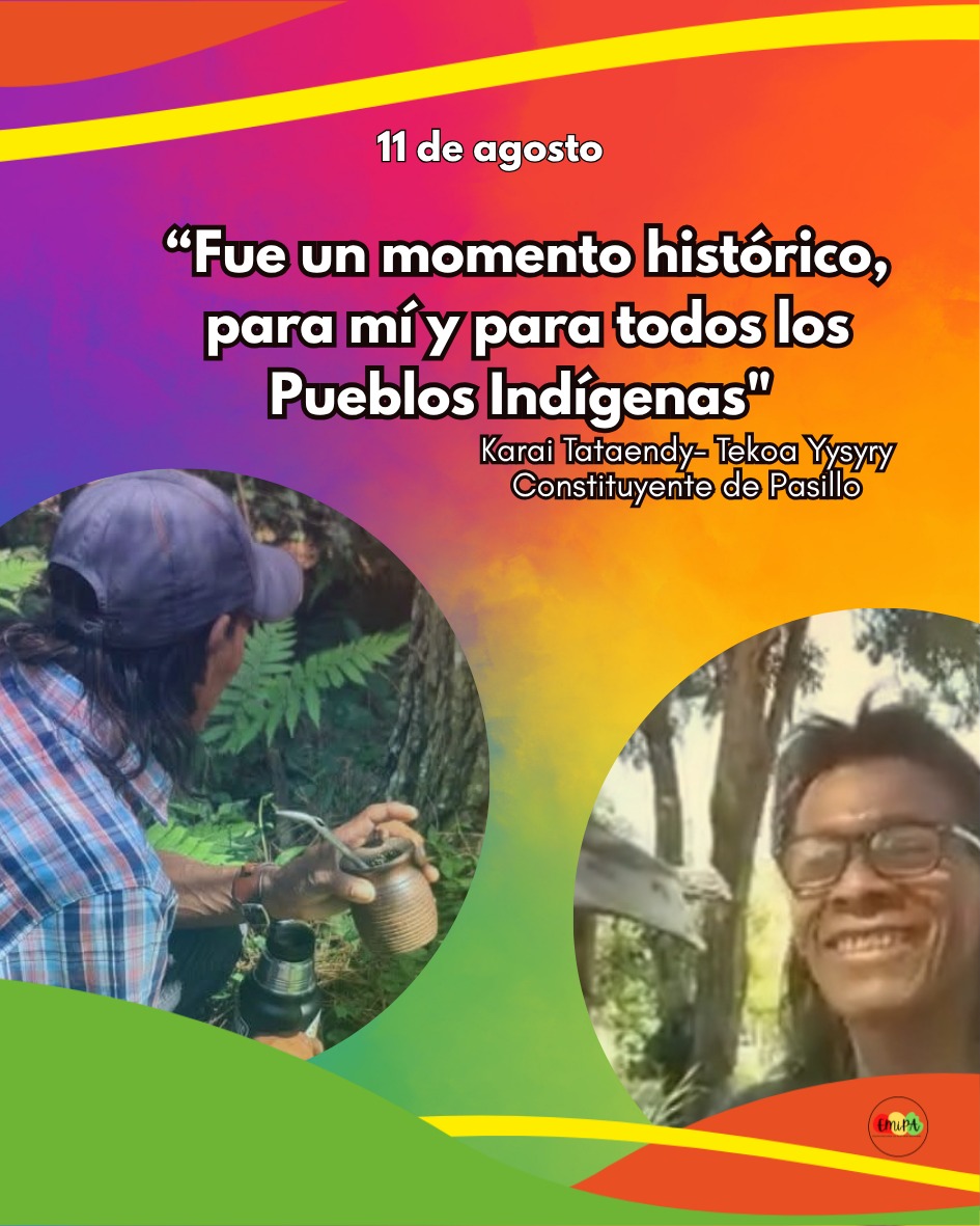 En este momento estás viendo Tras 31 años de su incorporación a la Constitución Nacional, la lucha indígena continúa