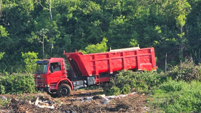 Lee más sobre el artículo Municipalidad de San Ignacio destruye y saquea territorio mbya