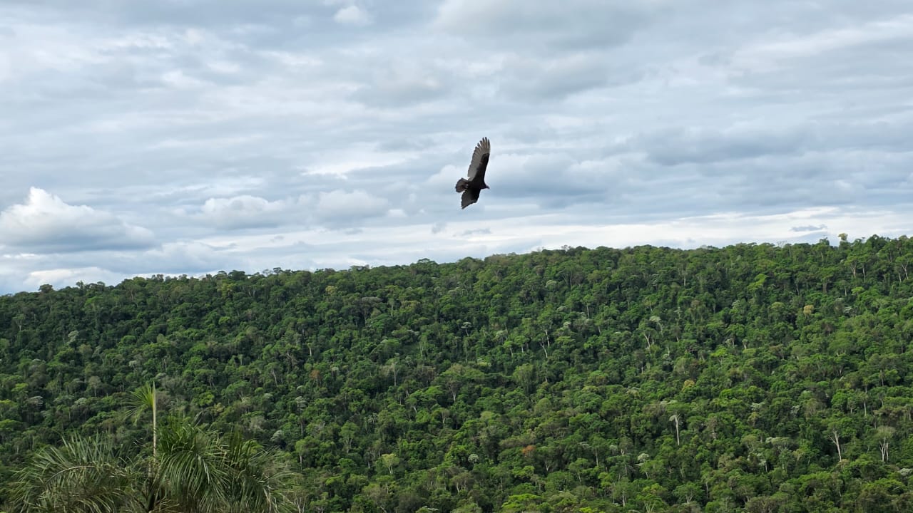 En este momento estás viendo Cambio Climático y pérdida de biodiversidad