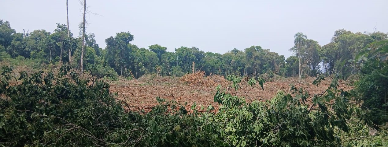 En este momento estás viendo Un paso atrás para la selva misionera
