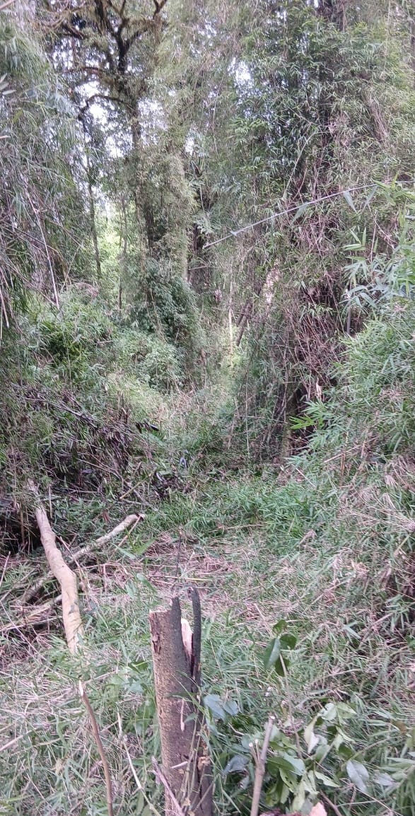 En este momento estás viendo Asuntos Guaraníes: el organismo que facilita la entrega de los territorios
