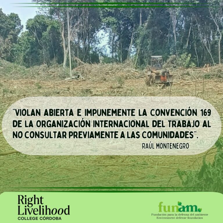 Lee más sobre el artículo EN MISIONES SIGUE EL GENOCIDIO SILENCIOSO DEL PUEBLO MBYA GUARANÍ