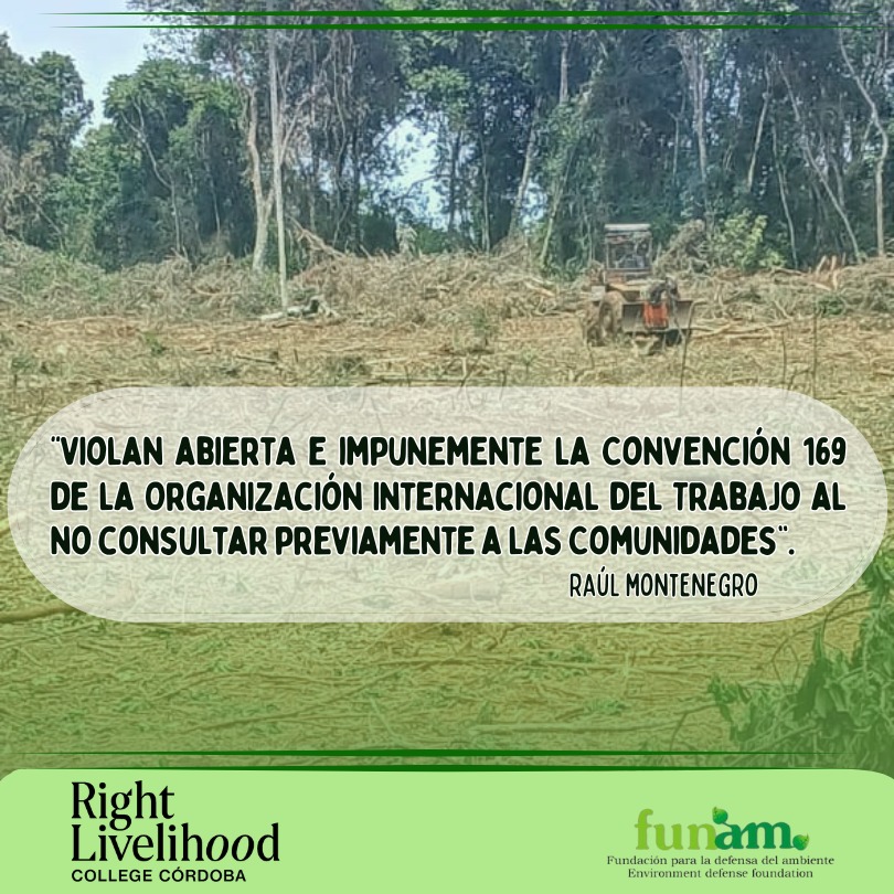 En este momento estás viendo EN MISIONES SIGUE EL GENOCIDIO SILENCIOSO DEL PUEBLO MBYA GUARANÍ