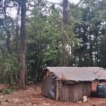 Lee más sobre el artículo Oka Porã denuncia hostigamiento de Arauco y pide intervención de Asuntos Guaraníes