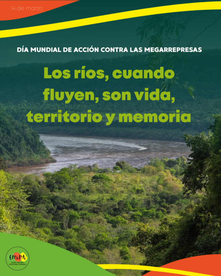 Lee más sobre el artículo Los ríos no son recursos a explotar
