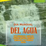 Lee más sobre el artículo El cumplimiento del derecho al acceso al agua: otra deuda con las Comunidades Mbya en Misiones