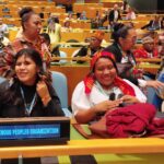 Lee más sobre el artículo Keila Zaya expondrá mañana en la ONU