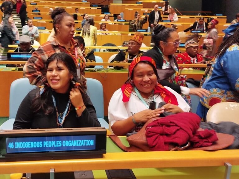 Lee más sobre el artículo Keila Zaya expondrá mañana en la ONU