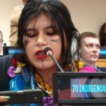 Lee más sobre el artículo Una voz Mbya en la ONU para decir lo que Argentina calla