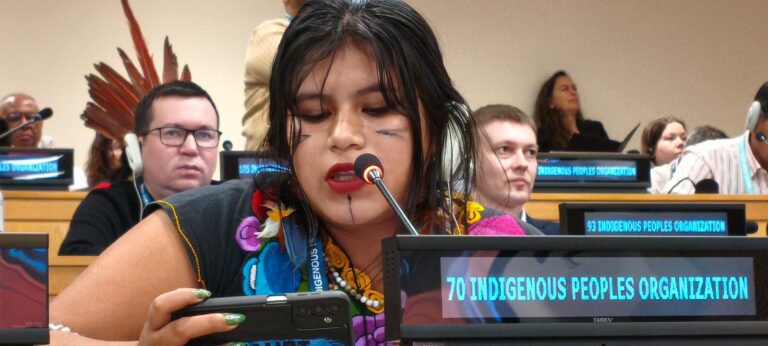 Lee más sobre el artículo Una voz Mbya en la ONU para decir lo que Argentina calla
