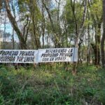 Lee más sobre el artículo Del despojo territorial a la persecución de quienes lo denuncian